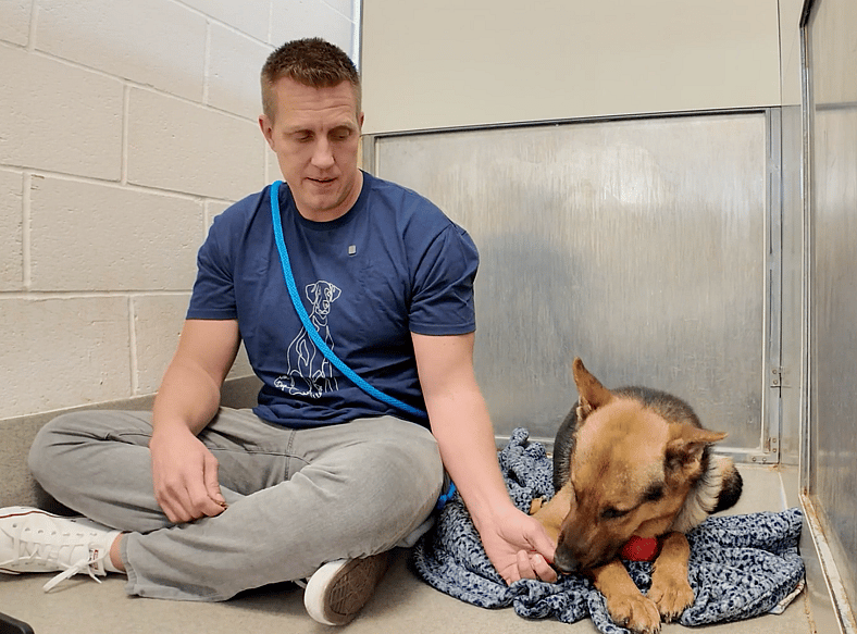 Sitting with dogs: Bruno